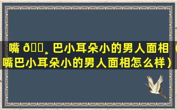 嘴 🌸 巴小耳朵小的男人面相（嘴巴小耳朵小的男人面相怎么样）